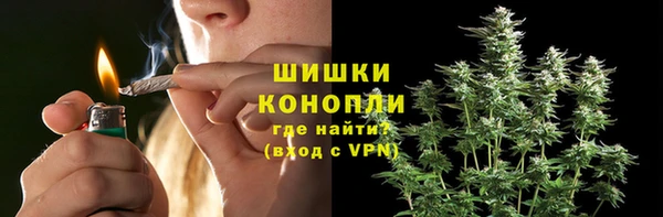 шишки Богданович
