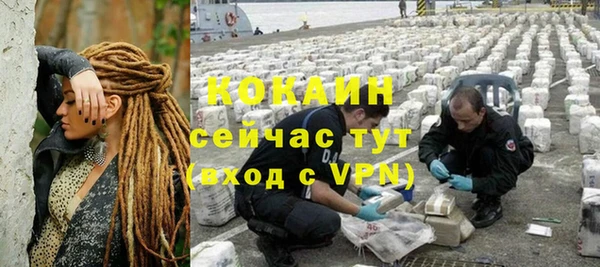 шишки Богданович
