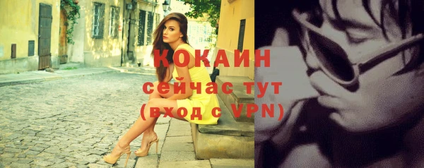 шишки Богданович