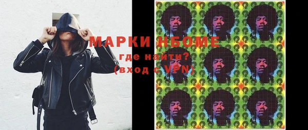 хмурый Богородицк