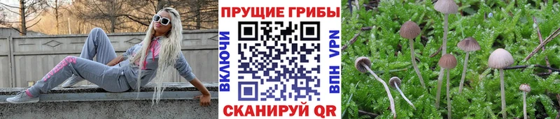 Галлюциногенные грибы ЛСД  цена наркотик  Ангарск 